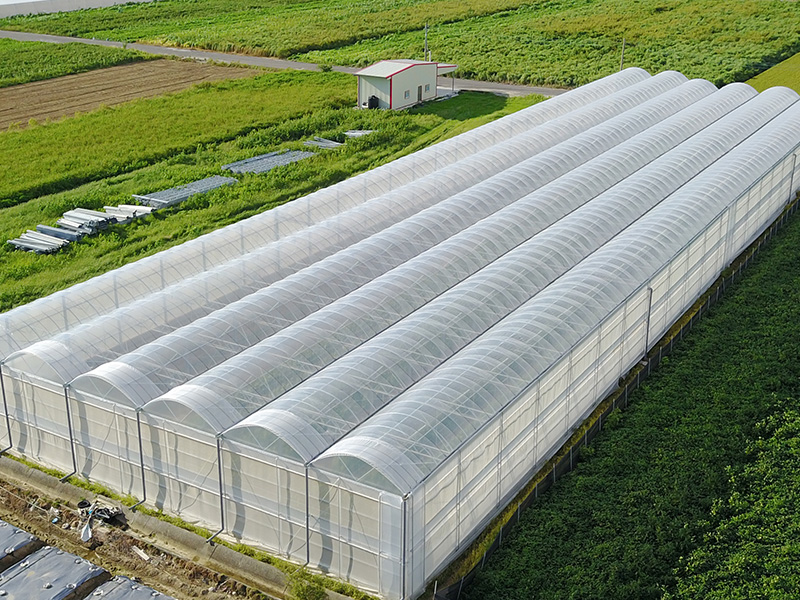 溫室大棚的使用事項有哪些？